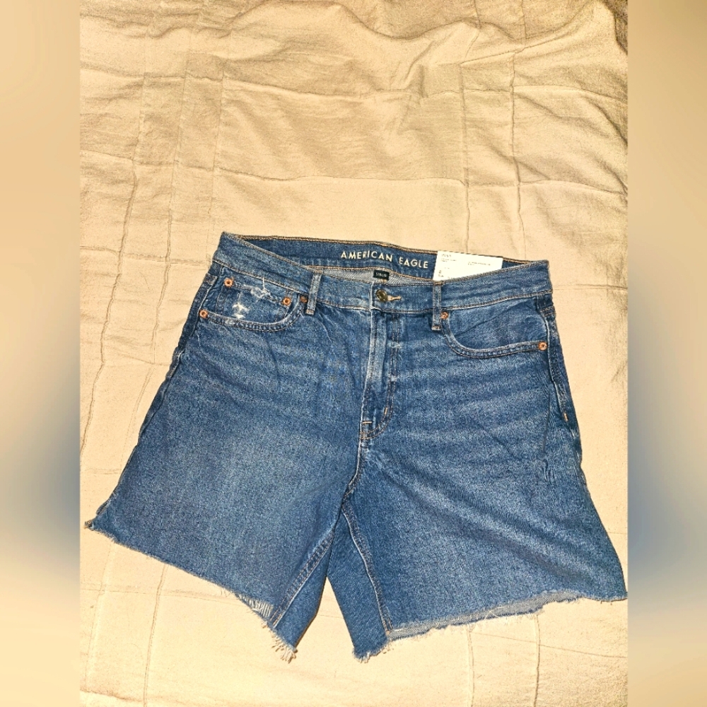 American Eagle Outfitters Blue Jean Shorts